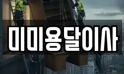 미미용달이사