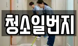 청소일번지