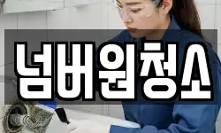 넘버원청소