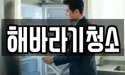 해바라기청소