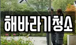 해바라기청소