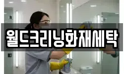월드크리닝화재세탁