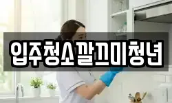 입주청소깔끄미청년