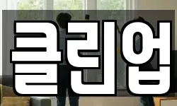 클린업