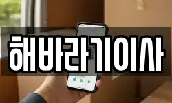 해바라기이사