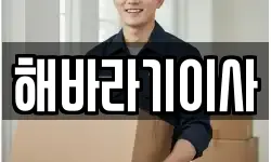 해바라기이사