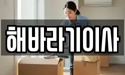 해바라기이사