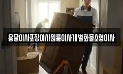 전북 김제시 신덕동 이사,용달이사,포장이사,원룸이사,보관이사