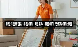 용달1톤용달차,용달이사,1톤트럭,원룸이사,반포장이사화물