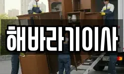 해바라기이사