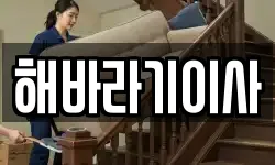 해바라기이사