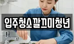 입주청소깔끄미청년