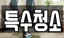 특수청소