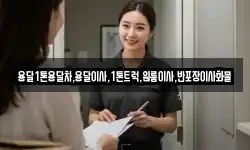 용달1톤용달차,용달이사,1톤트럭,원룸이사,반포장이사화물