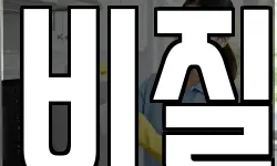비질