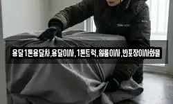 전북 남원시 대강면 이사,용달이사,포장이사,원룸이사,보관이사