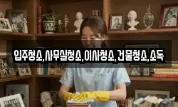 입주청소,사무실청소,이사청소,건물청소,소독