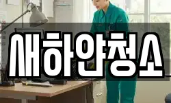 새하얀청소