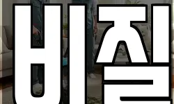 비질
