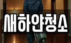 새하얀청소