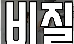 비질