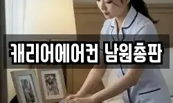 캐리어에어컨 남원총판