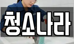 청소나라