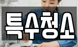 특수청소