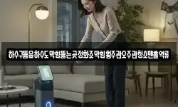 하수구뚫음하수도막힘뚫는곳정화조막힘횡주관오주관청소맨홀역류