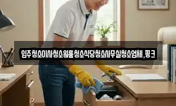입주청소이사청소원룸청소식당청소사무실청소업체,핑크