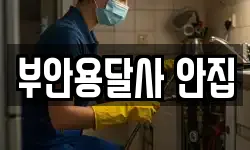 부안용달사 안집