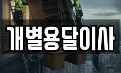 개별용달이사