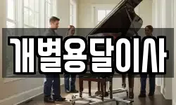 개별용달이사