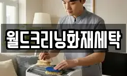 월드크리닝화재세탁