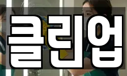 클린업