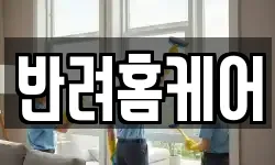 반려홈케어