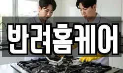 반려홈케어