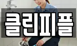 클린피플