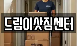 드림이삿짐센터