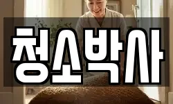 청소박사