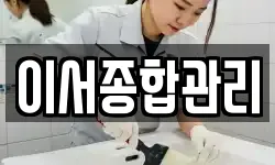 이서종합관리