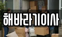 해바라기이사