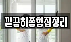 깔끔히종합집정리