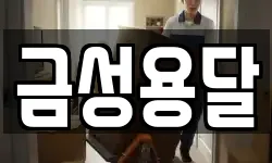 금성용달
