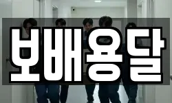 보배용달
