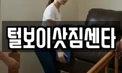 털보이삿짐센타