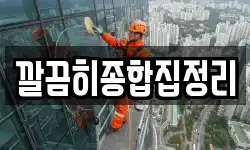 깔끔히종합집정리