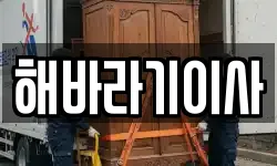해바라기이사