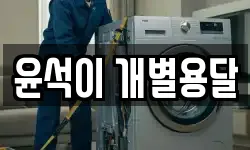 윤석이 개별용달