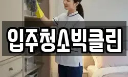 입주청소빅클린